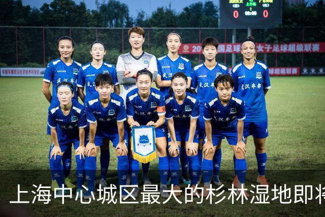 上海中心城区最大的杉林湿地即将进入最佳观赏期，记者实探