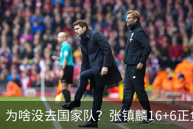 为啥没去国家队？张镇麟16+6正负值全场最高隔扣深圳大外点燃现场