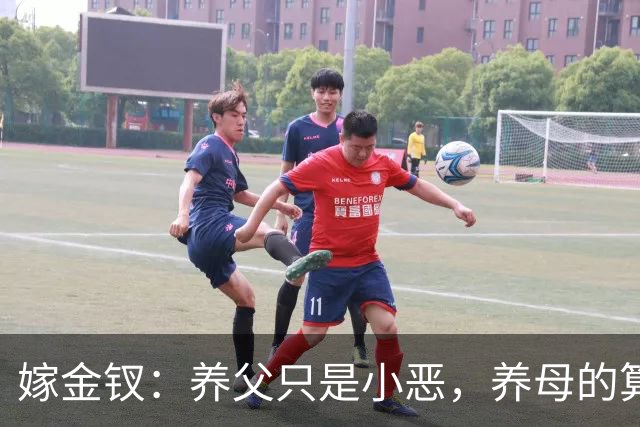 嫁金钗：养父只是小恶，养母的算计，才成全了红线的太后命