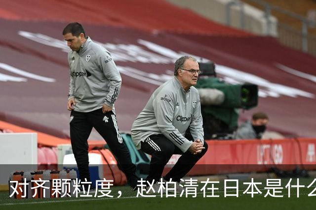 对齐颗粒度，赵柏清在日本是什么水平？