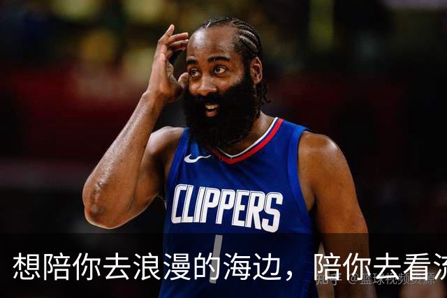 想陪你去浪漫的海边，陪你去看流星雨