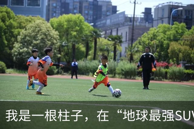 我是一根柱子，在“地球最强SUV”的撞击中，活了下来且只是轻伤