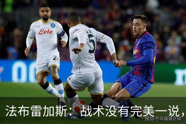 法布雷加斯：战术没有完美一说，查洛巴伤情明天再看