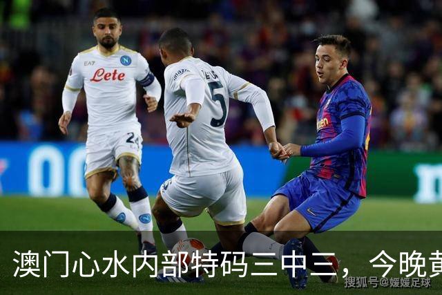 澳门心水内部特码三中三，今晚黄大仙独家资料，白小姐精准预测管家婆一肖一特49图库第286期新六合彩免费资料大全