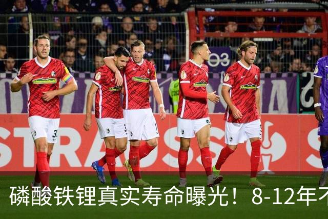 磷酸铁锂真实寿命曝光！8-12年不是标配，全看你怎么造