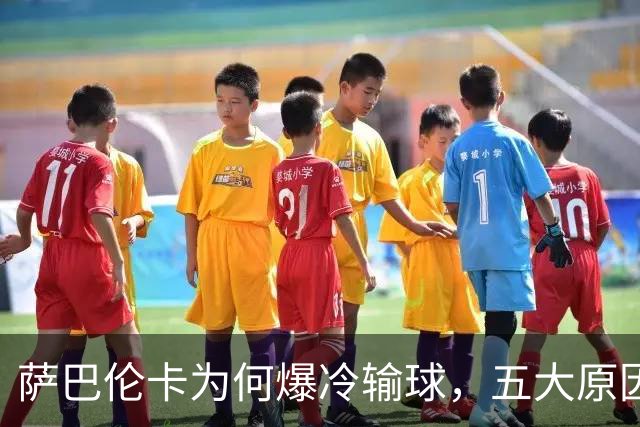 萨巴伦卡为何爆冷输球，五大原因浮出水面，头号种子状态低迷