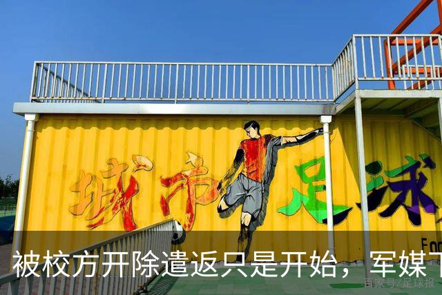 被校方开除遣返只是开始，军媒下场锐评，真正麻烦的何止陈某一人