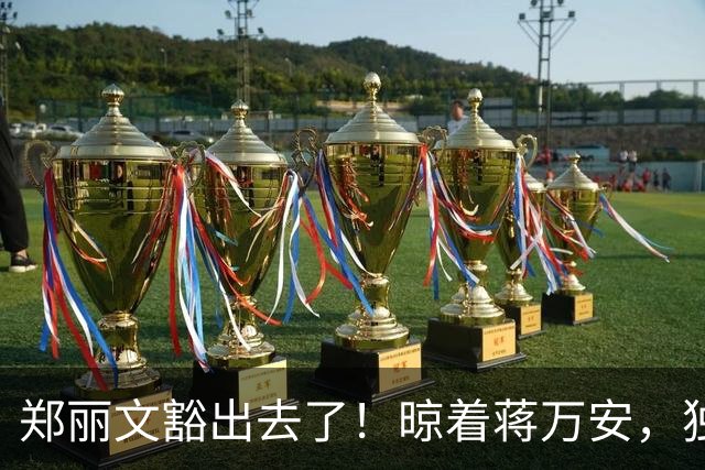郑丽文豁出去了！晾着蒋万安，独揽蓝白大权，赌的是自己的位子
