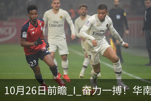 10月26日前瞻 I 奋力一搏！华南虎客战大鲨鱼