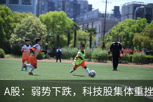 A股：弱势下跌，科技股集体重挫，释放什么信号？二次探底来了吗?
